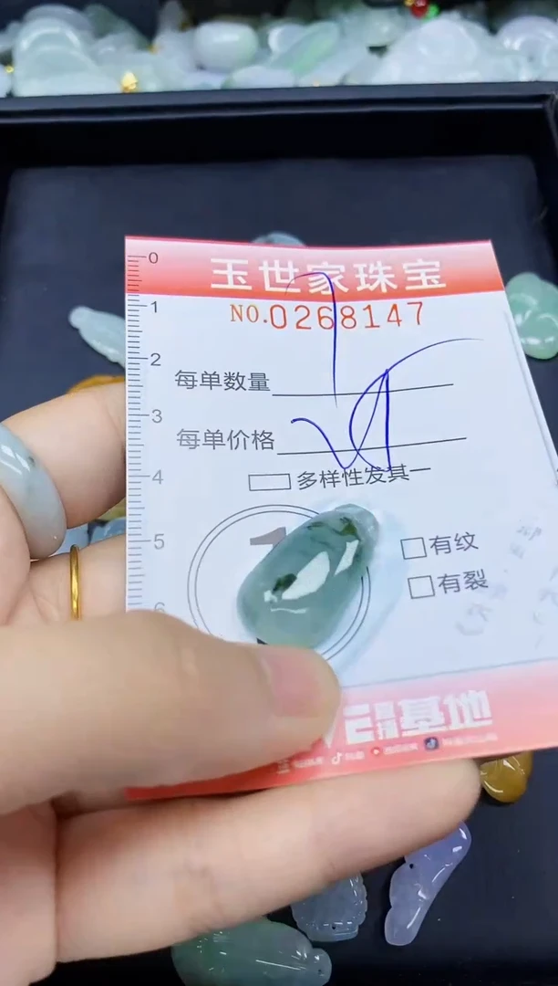 翡翠未镶嵌颈饰闪购0268147