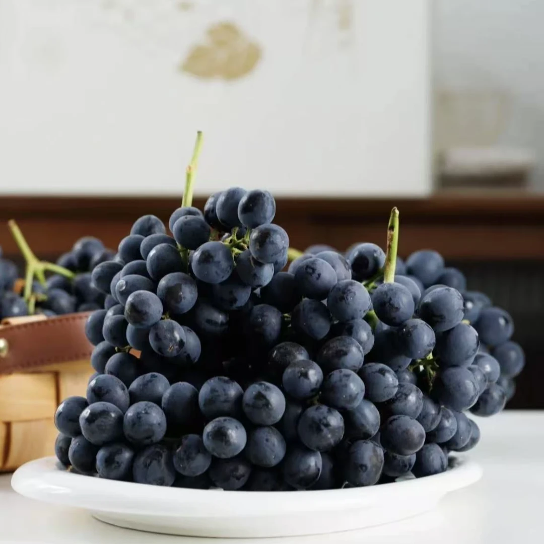 《果立方》空运新疆蓝莓葡萄 香甜多汁新鲜水果顺丰包邮g新疆维吾尔自治区