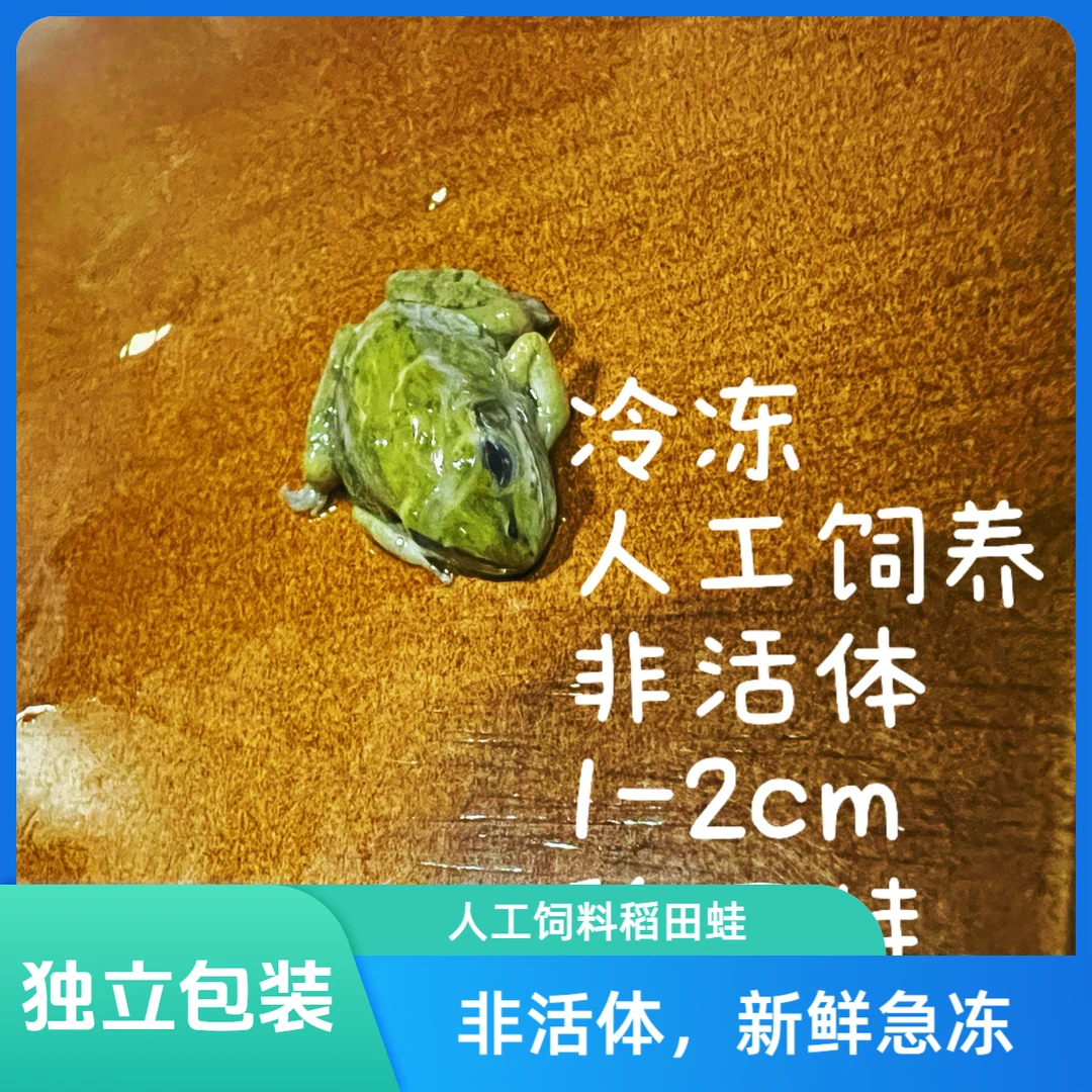 冷冻非活体独立包人工饲养稻田蛙，雷龙鱼龟肉食性原生食材肉饲料