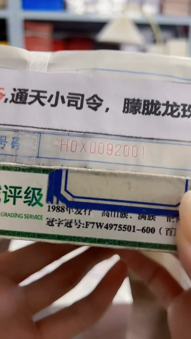 M 05,通天小司令，朦胧龙珠王，H0X0092222