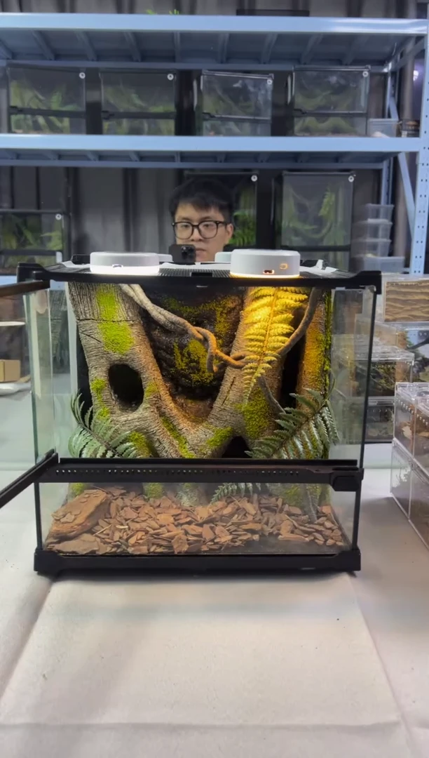 玻璃【长30宽25高27】爬宠造景缸睫角守宫树栖蜘蛛饲养箱爬宠爬虫缸