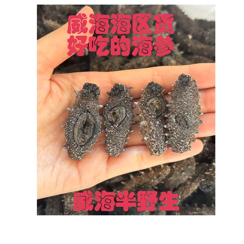 【国标】威海海区货半野生海参深海滋补国标一级