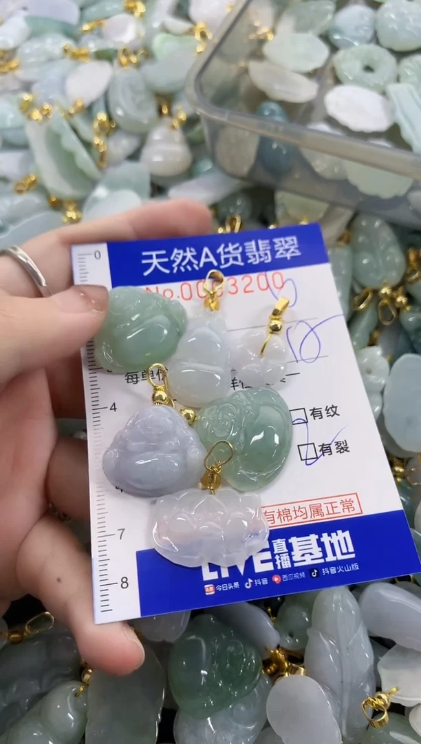 颈饰未镶嵌翡翠大**才天然A货翡翠