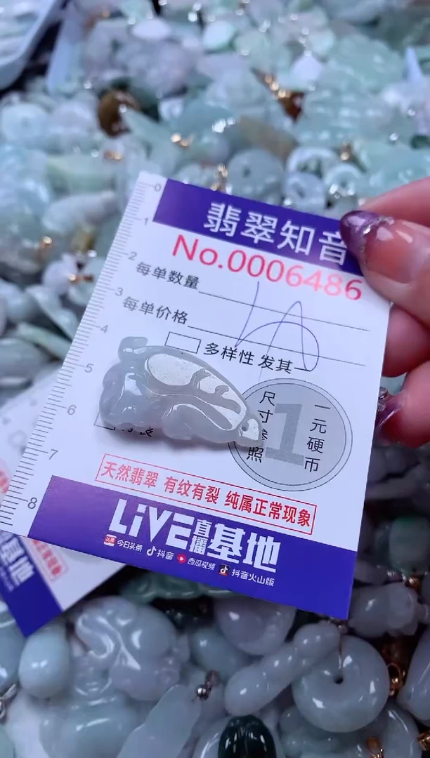 翡翠未镶嵌吊坠(不含链)6486