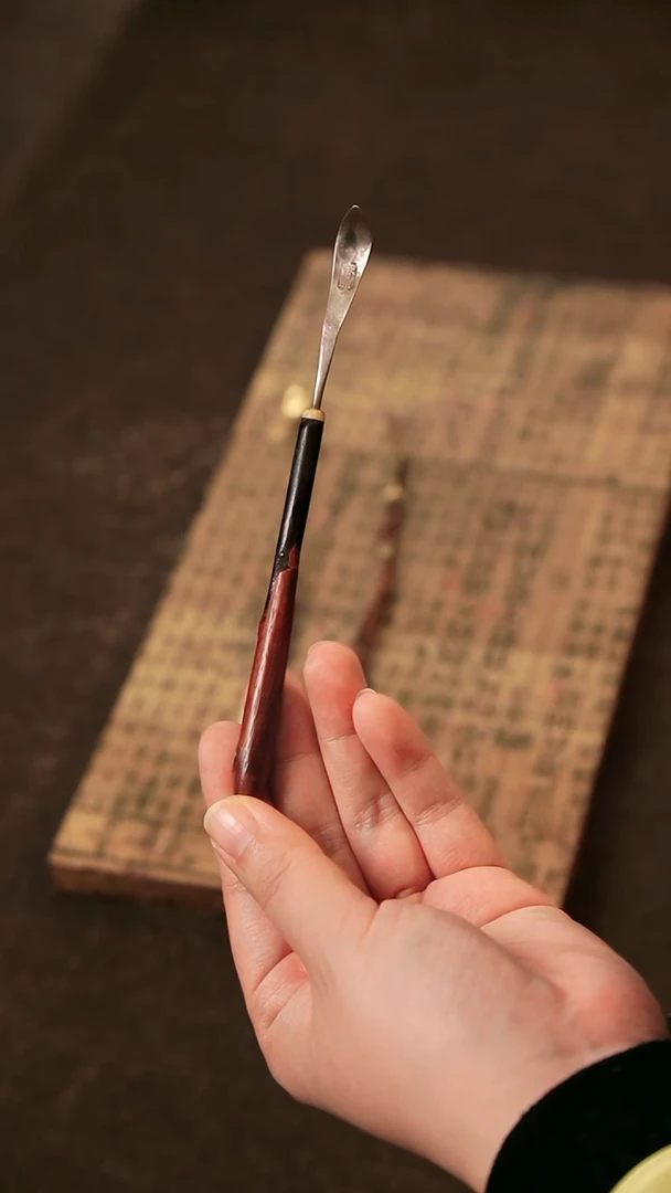 王老师虫蚀竹子银勺