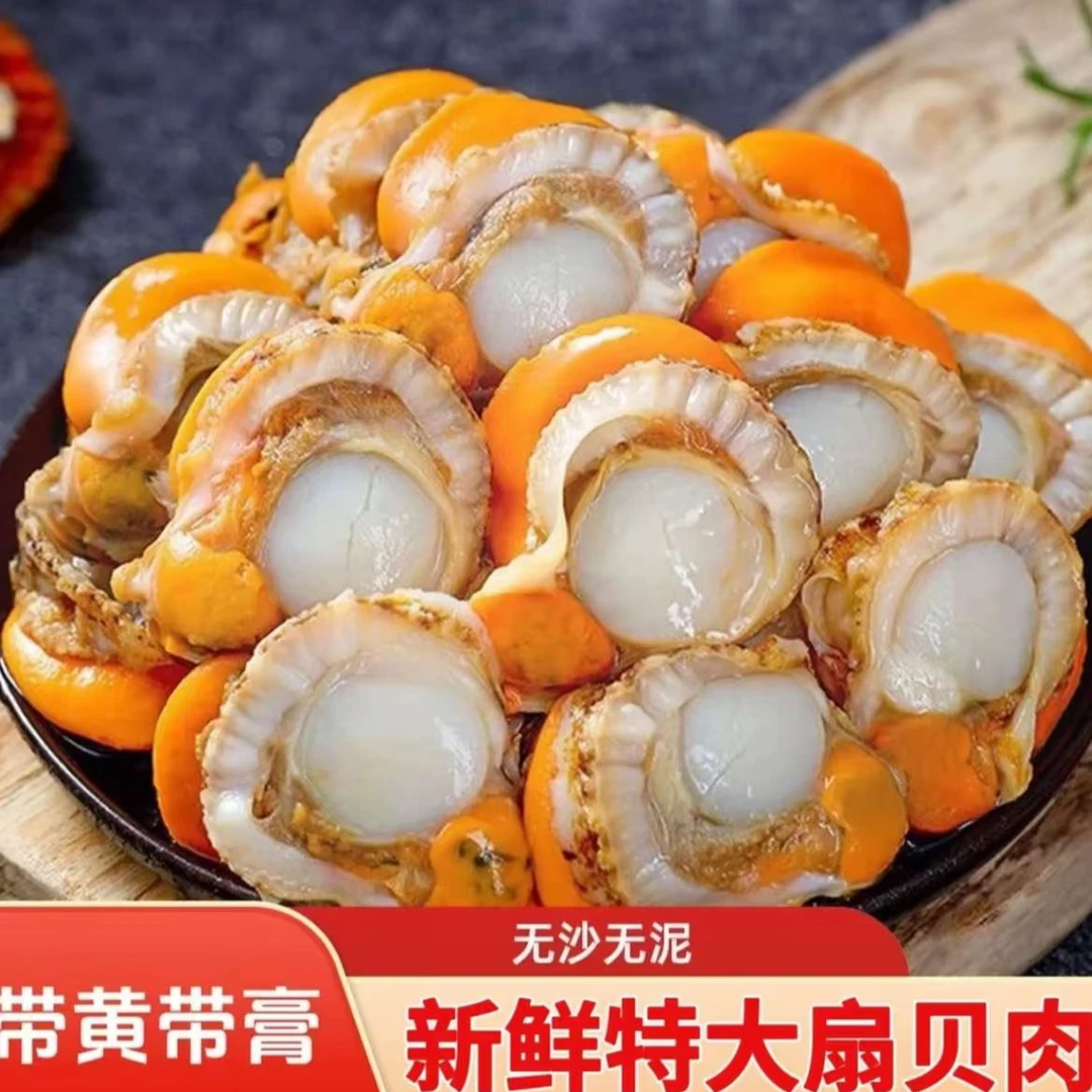 青岛扇贝肉栉孔贝肉4斤（无冰无水顺丰包邮）