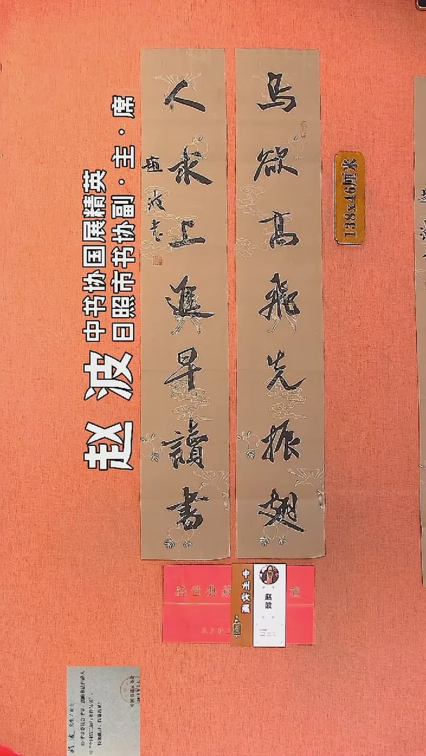 【闪购商品】书法88         赵波老师作品