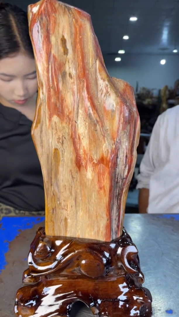 未镶嵌摆件硅化玉34