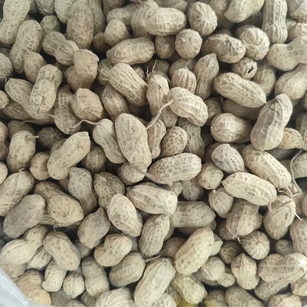 农家自种带壳花生