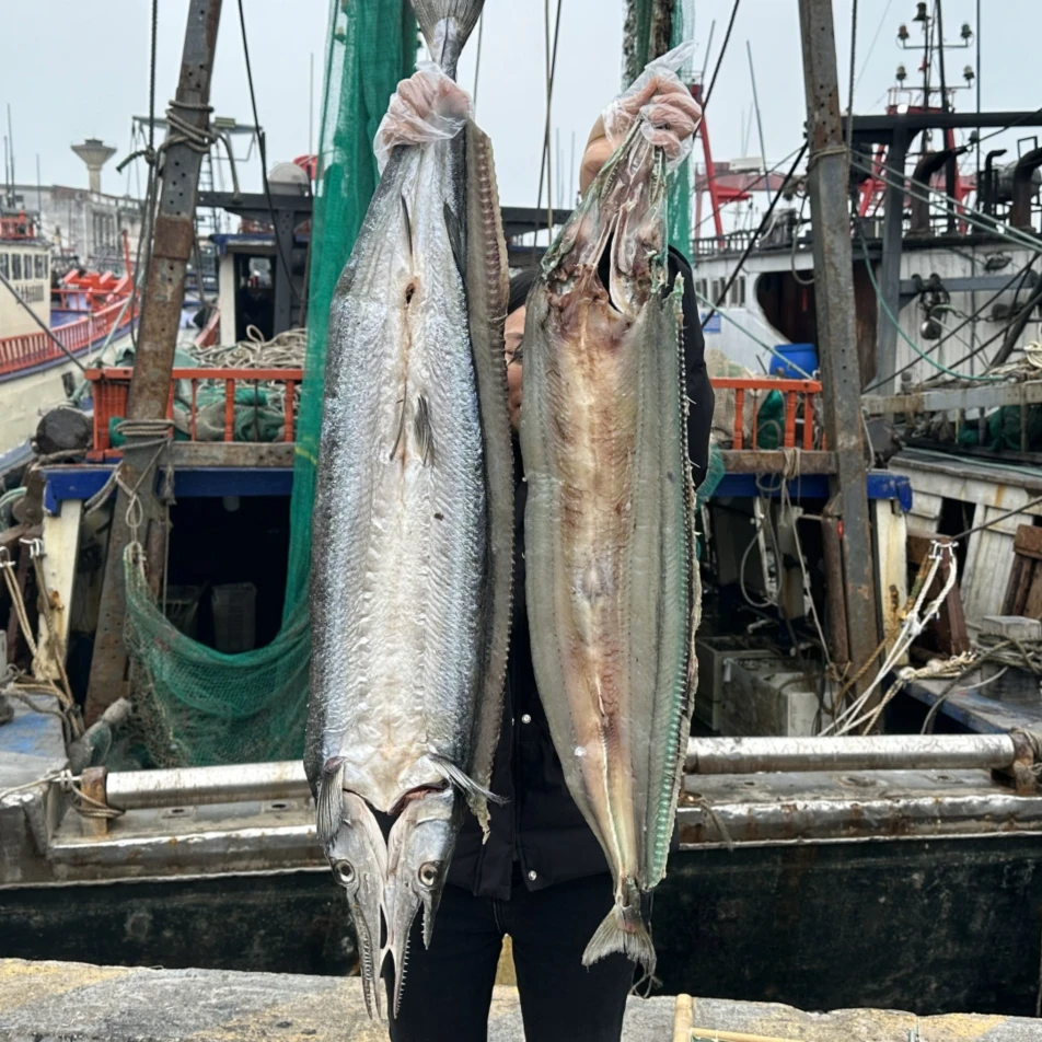 野生鲜晒三成干青巢鱼刚好够味