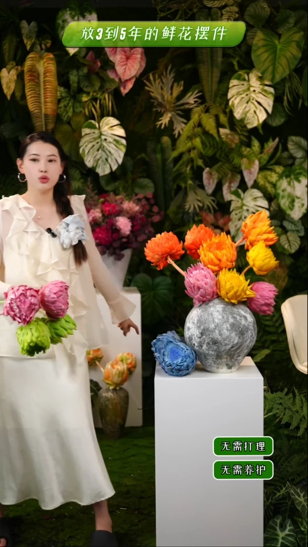 永生花洋蓟5枝橄榄绿2枝粉色发货不低于10cm不售后