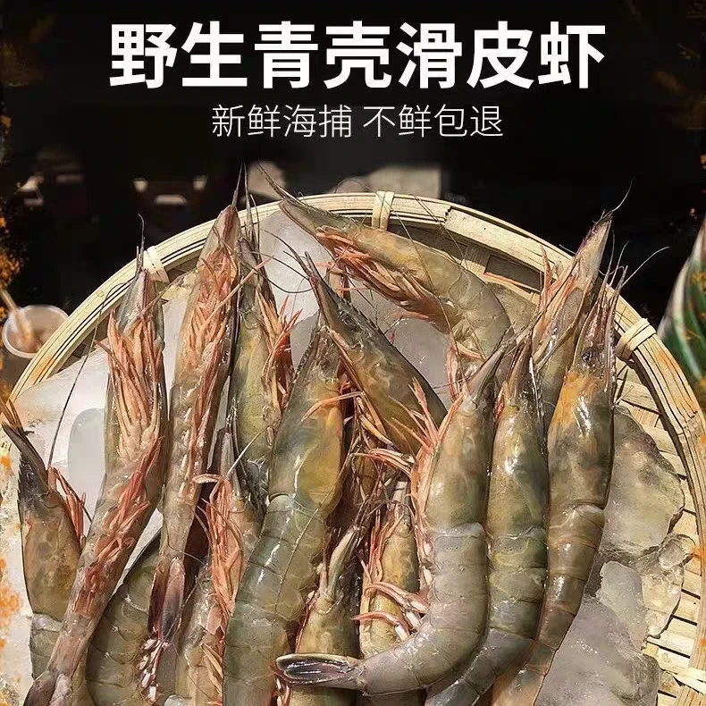 【源舟屿】舟山野生滑皮虾 新鲜活皮虾剑虾条虾一斤70-90只左右包邮
