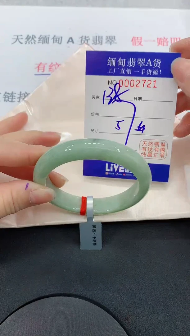 未镶嵌手镯翡翠21