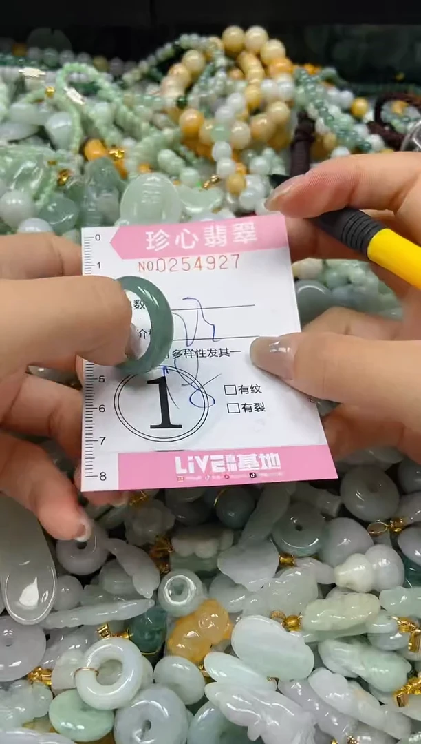 翡翠未镶嵌颈饰闪购0254927
