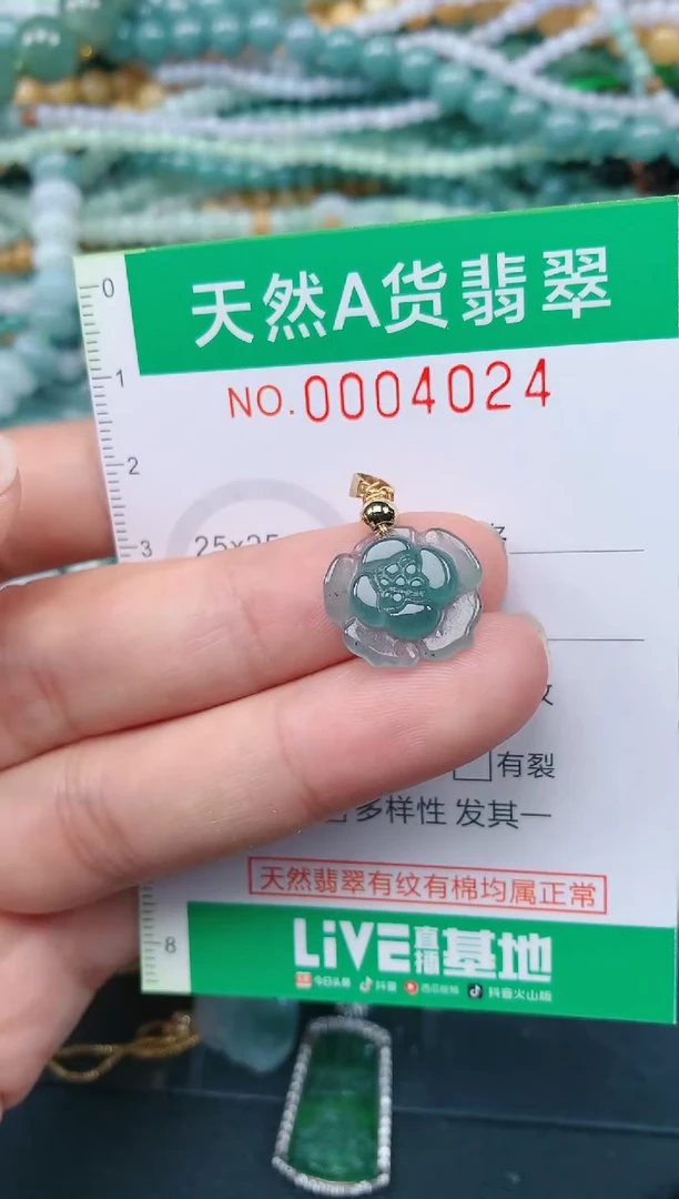 颈饰未镶嵌翡翠.0004024