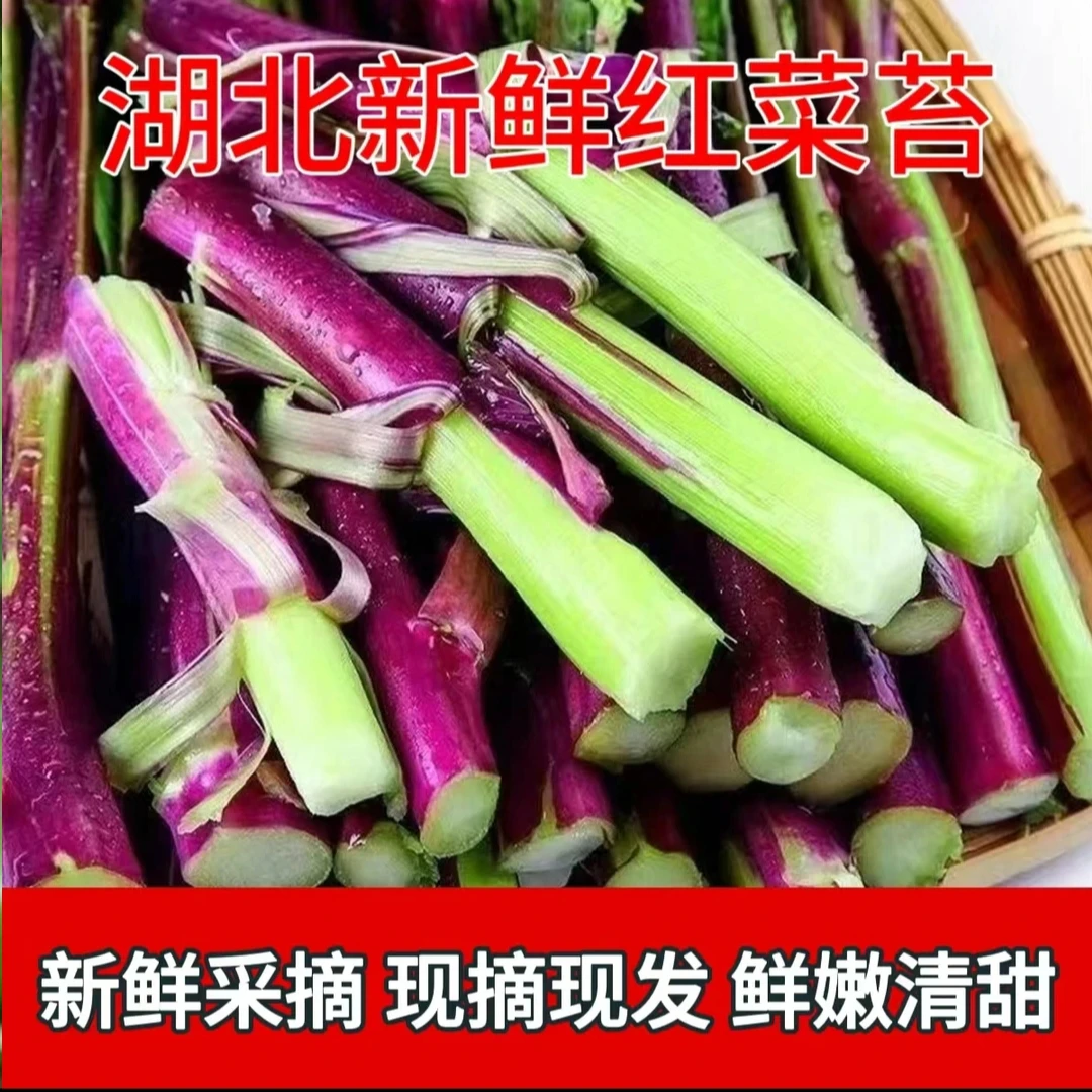 【老人自种】霜打红菜苔油菜苔现摘现发新鲜农家自种露天当季蔬菜