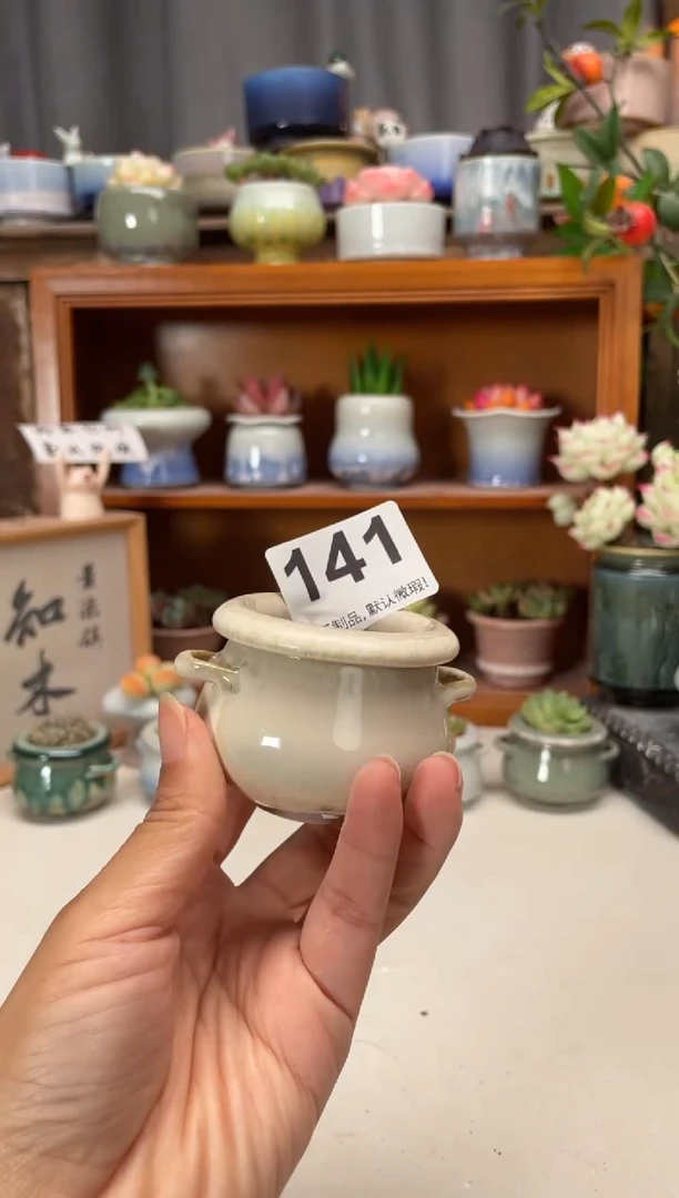 瓷片141知木小芳花盆编号