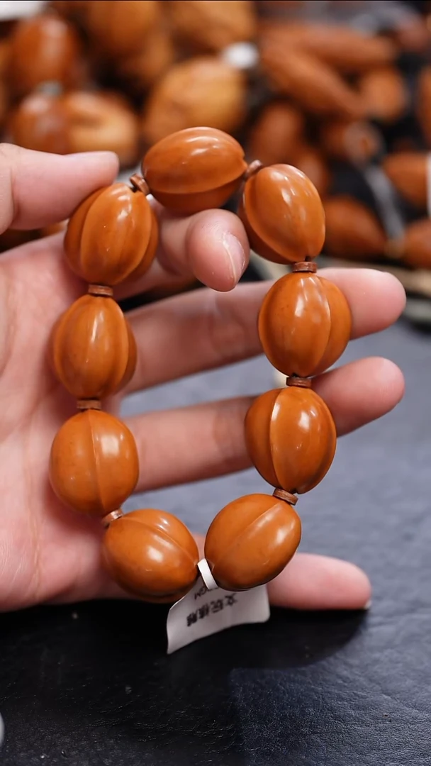 手串橄榄核鲨鱼背