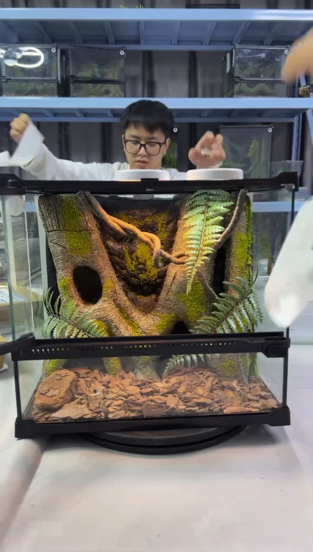 玻璃【长30宽25高27】爬宠造景缸睫角守宫树栖蜘蛛饲养箱爬宠爬虫缸