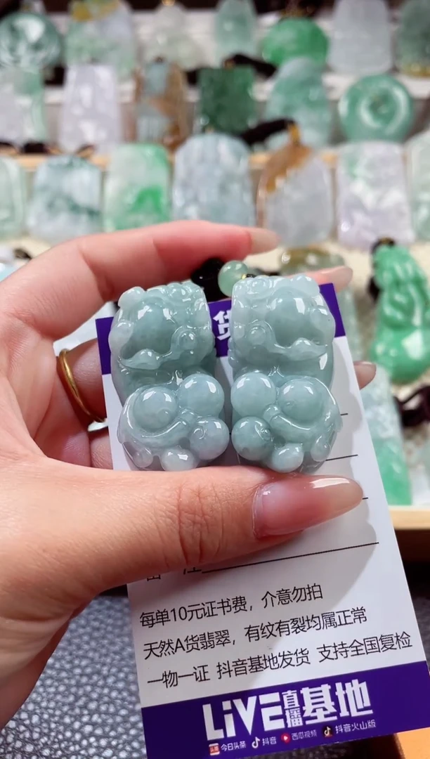 翡翠未镶嵌颈饰000012345