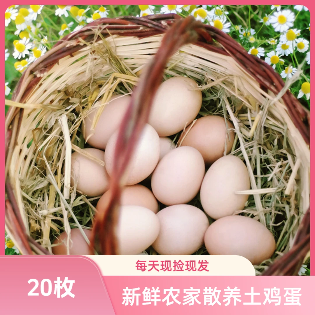 【20枚】土鸡蛋 农家散养 谷物喂养 新鲜现捡现发 A1
