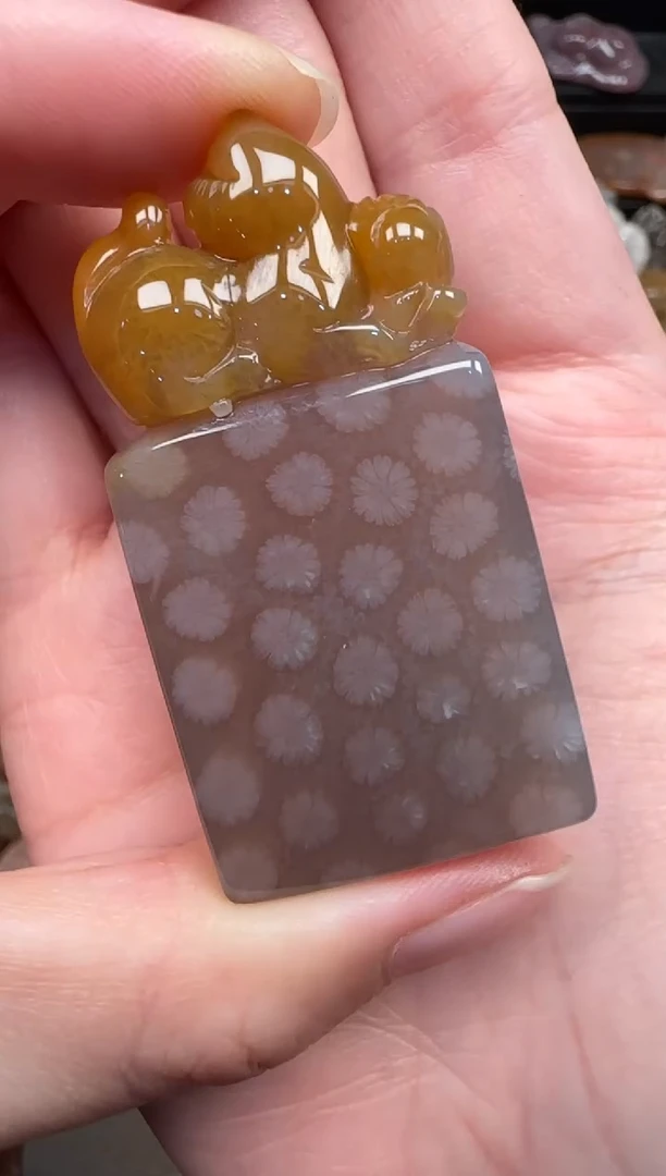 颈饰未镶嵌硅化珊瑚（珊瑚玉）775