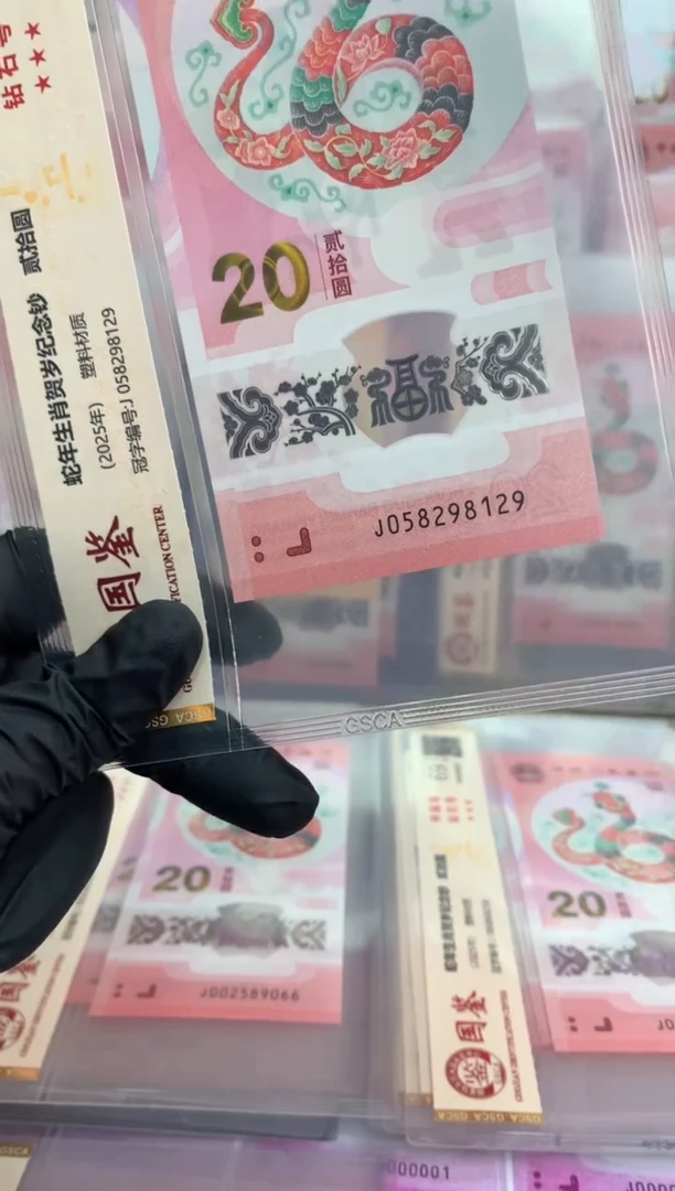 【闪购商品】塑料蛇钞 真钞【单张】8129