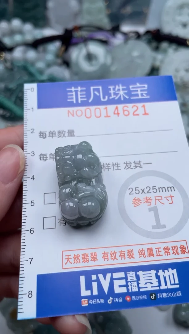 颈饰未镶嵌翡翠14621