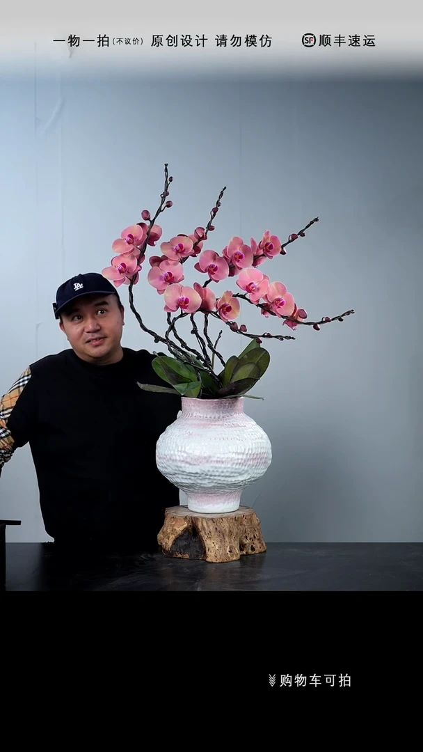 【闪购商品】046号链接【一物一拍】艺术盆景