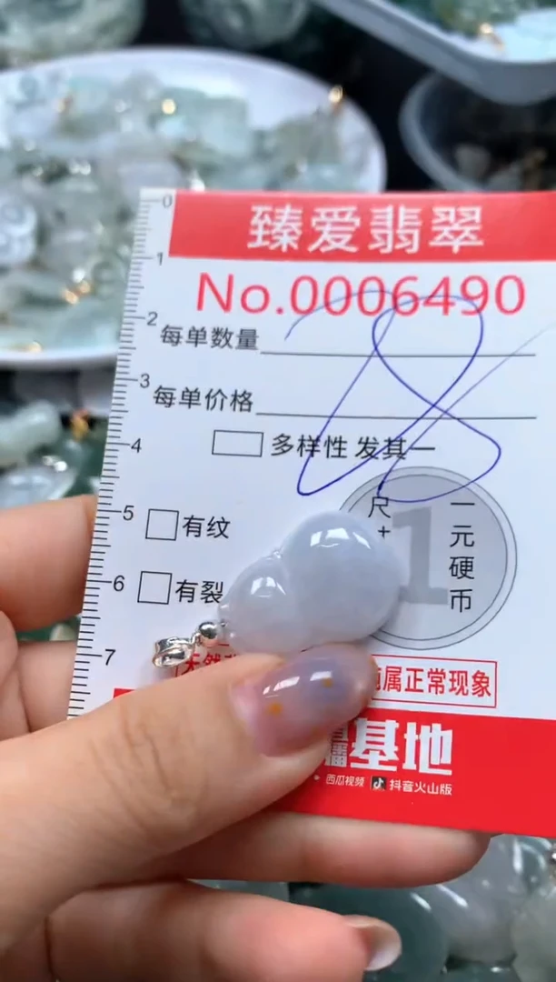 翡翠未镶嵌颈饰6490