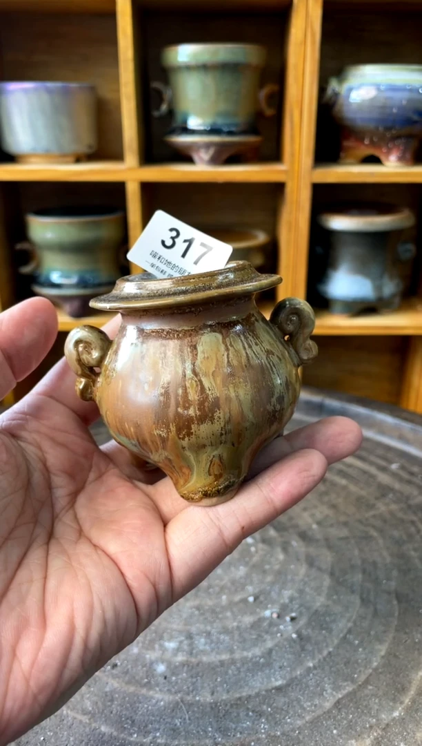 317【多肉花盆多肉盆】