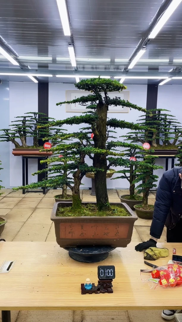 【闪购商品】0000000