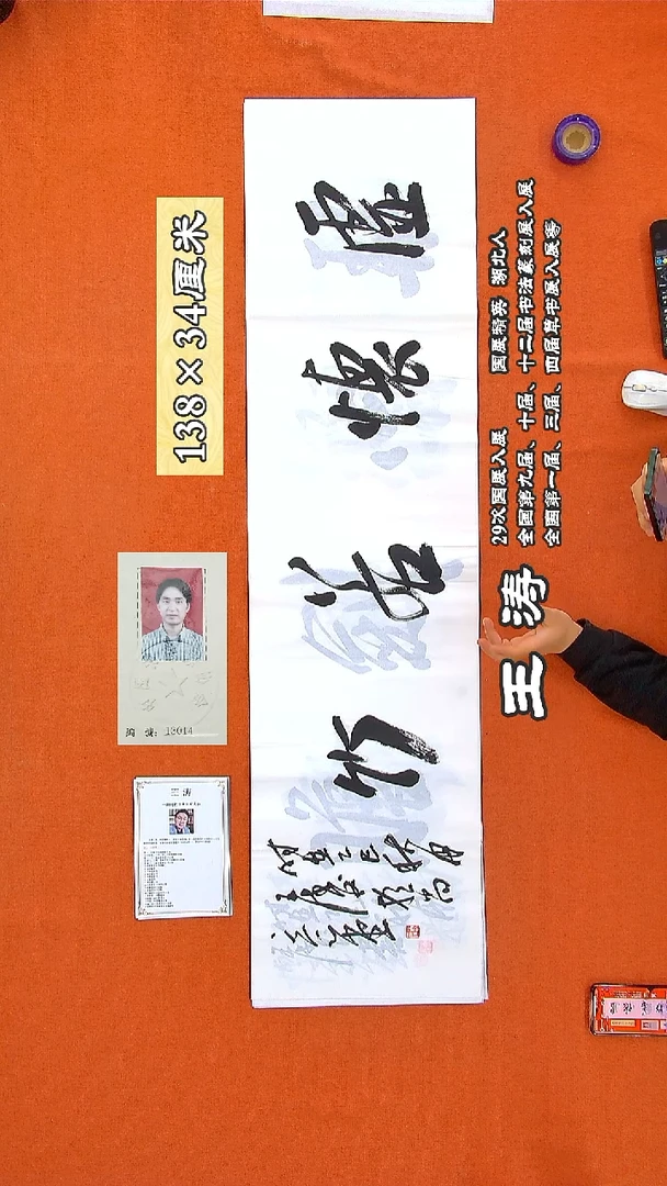 书法205王涛书法作品