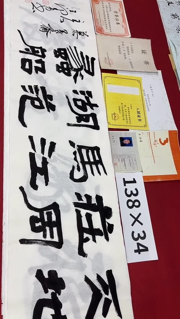 书法王泽勇老师作品013