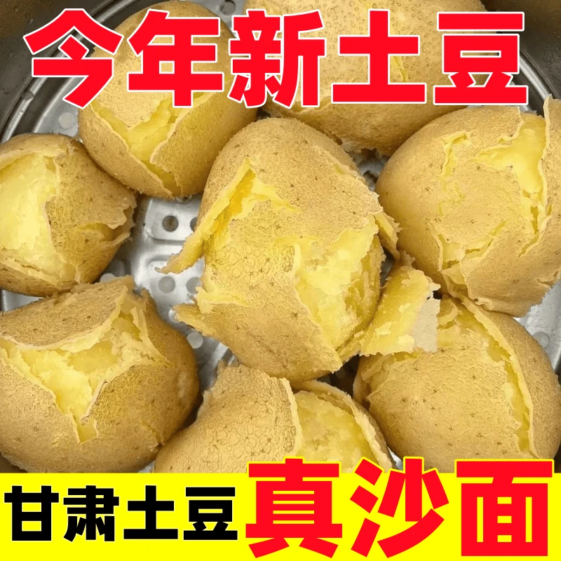 定西黄心面沙土豆现挖现发新鲜自然健康农家自种