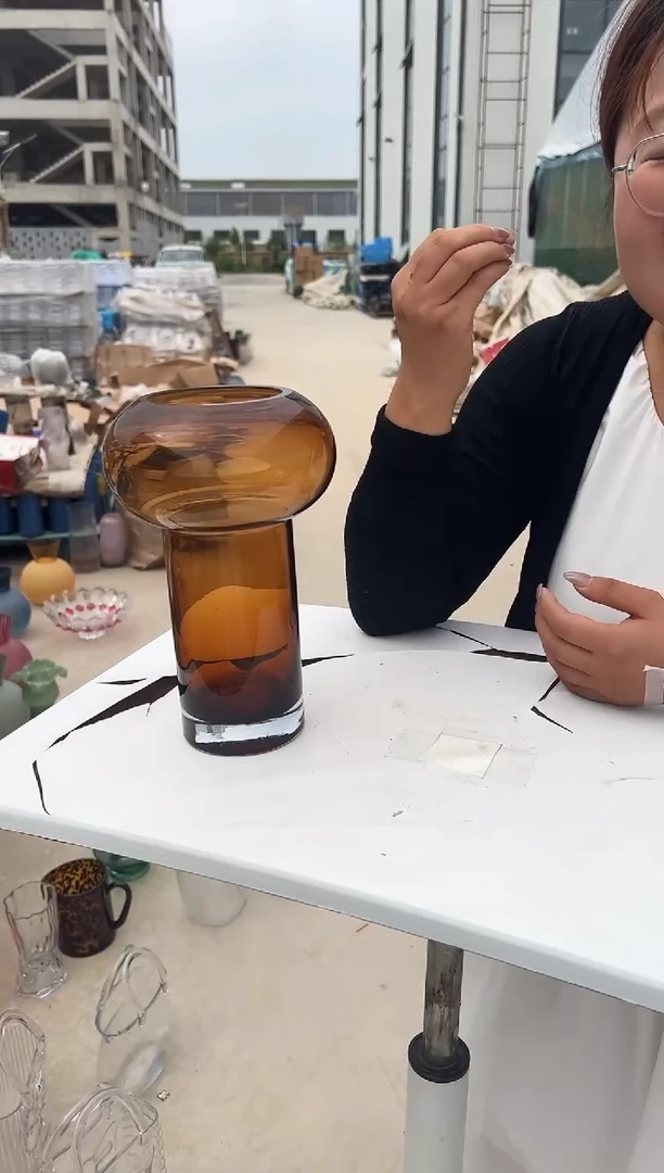 花瓶客厅餐桌插花装饰好物
