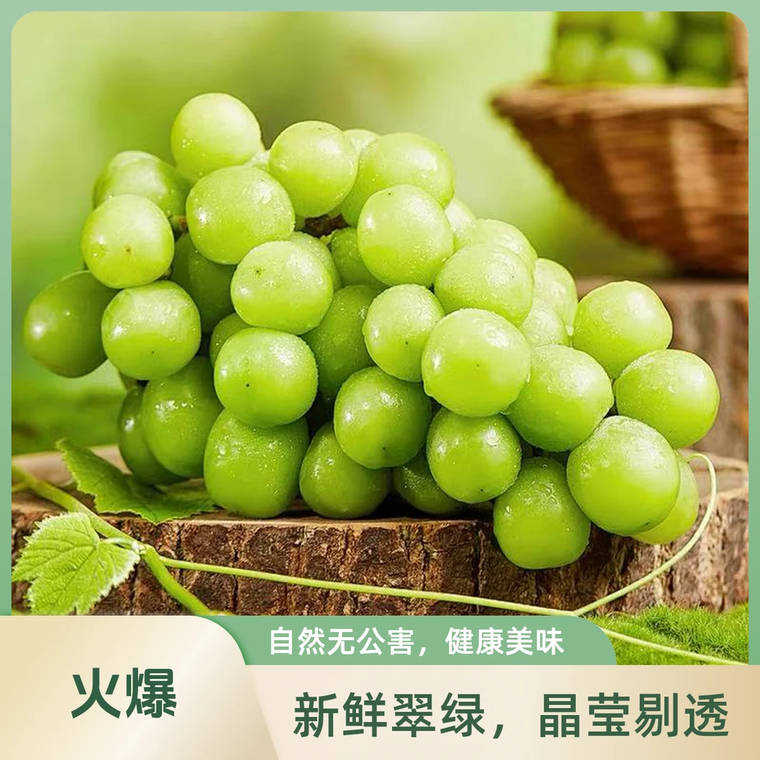 【顺丰次日达】阳光玫瑰新鲜葡萄晴王青提彩箱发当季水晶葡萄新鲜提子江苏省