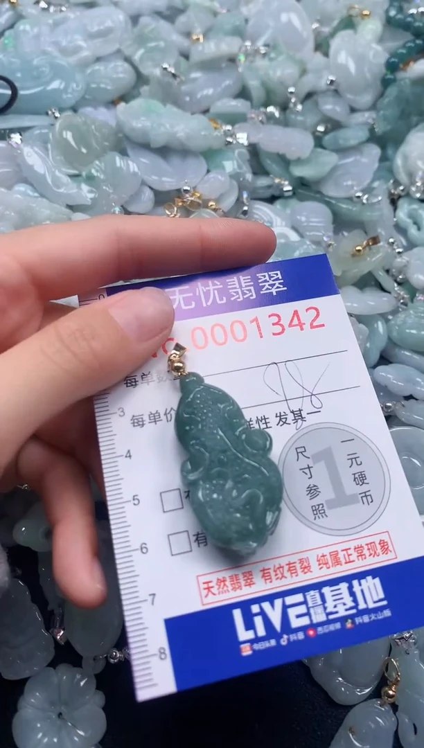 颈饰未镶嵌翡翠1342