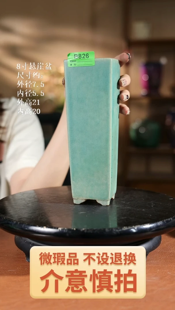 8寸悬崖盆    826