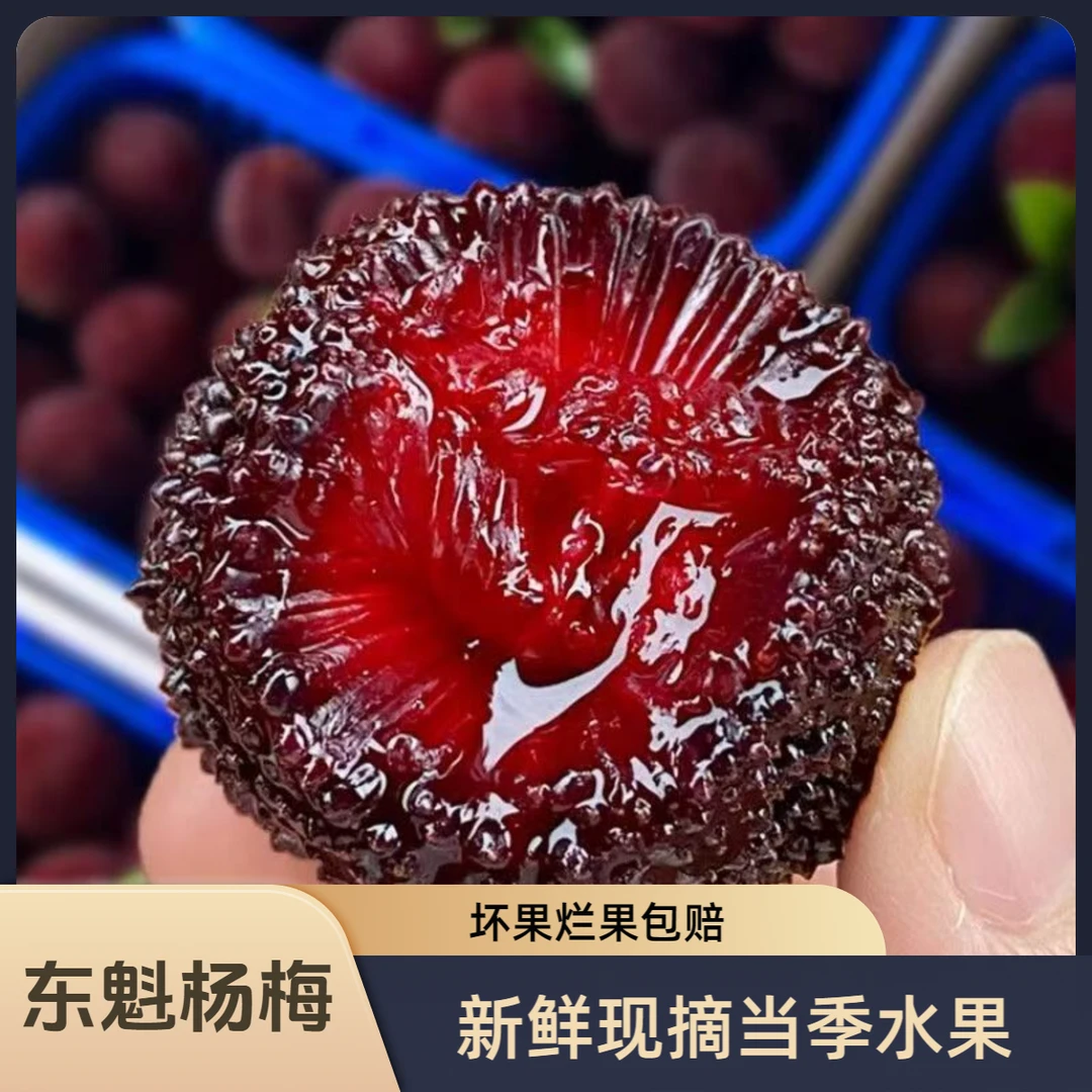 【东魁杨梅礼盒装】福建浮宫老树东魁杨梅现摘现发当季孕妈妈水果