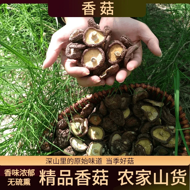 [福建古田]香菇干货新货肉厚无根干香菇蘑菇小香菇干蘑菇冬菇