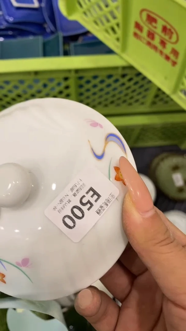 其他汤*回流瓷器默认微瑕，谨慎勿拍E500