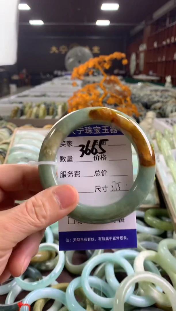 蛇纹石玉未镶嵌手镯3665