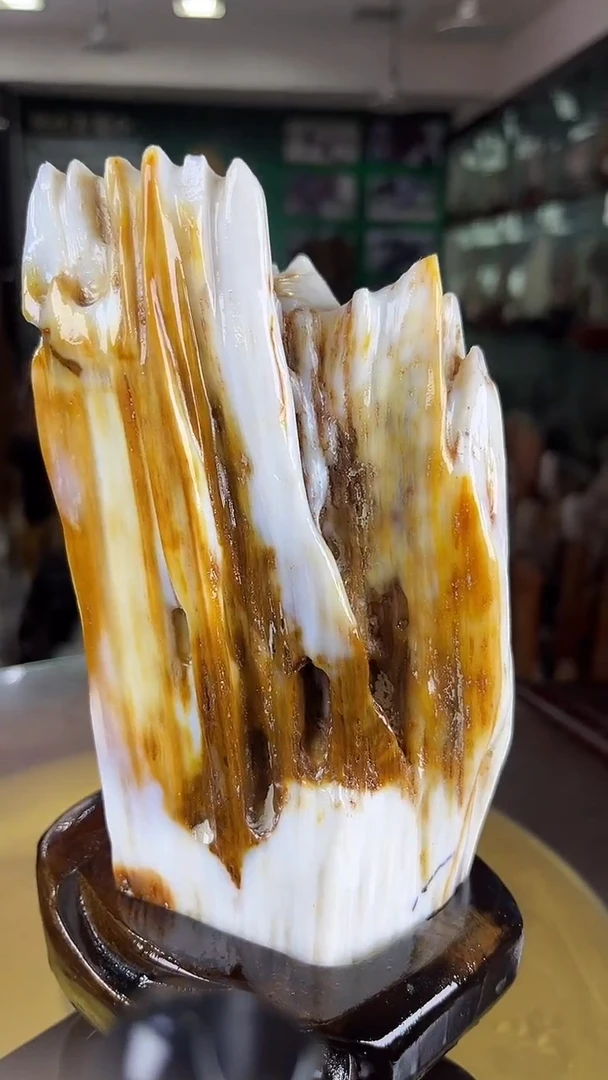 未镶嵌珠宝奇石硅化玉缅甸天然树化玉摆件