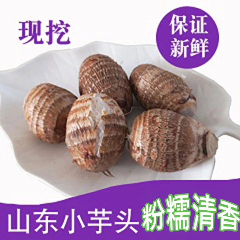 山东牛奶小芋头沙土地现挖新鲜毛芋头芋艿整箱农家自种香芋