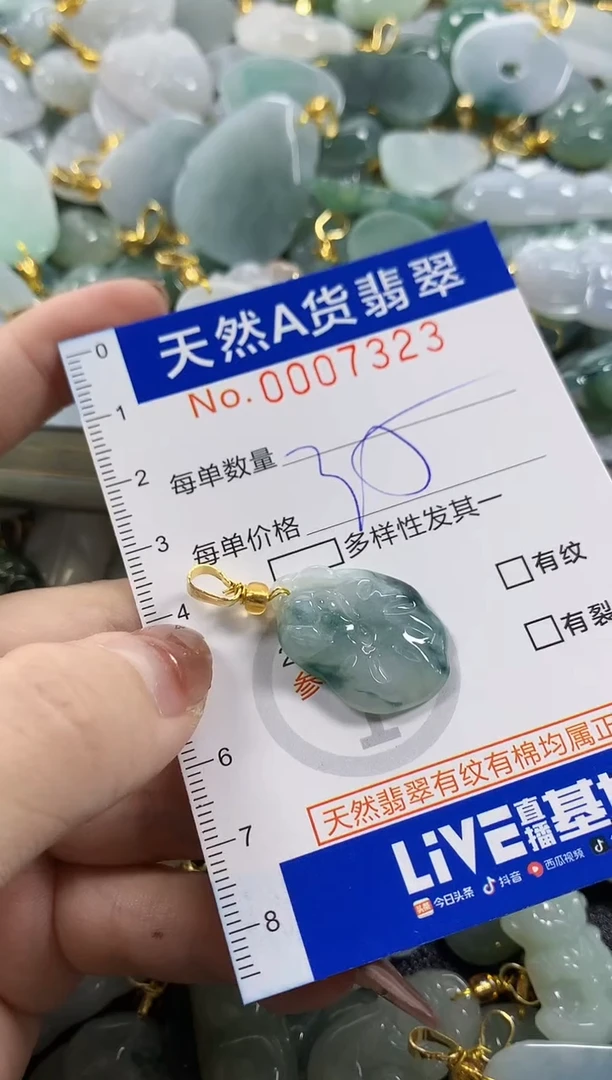 颈饰未镶嵌翡翠N***✨天然A货翡翠