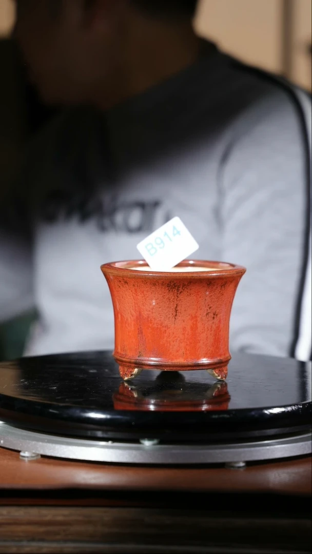 【闪购商品】红陶914