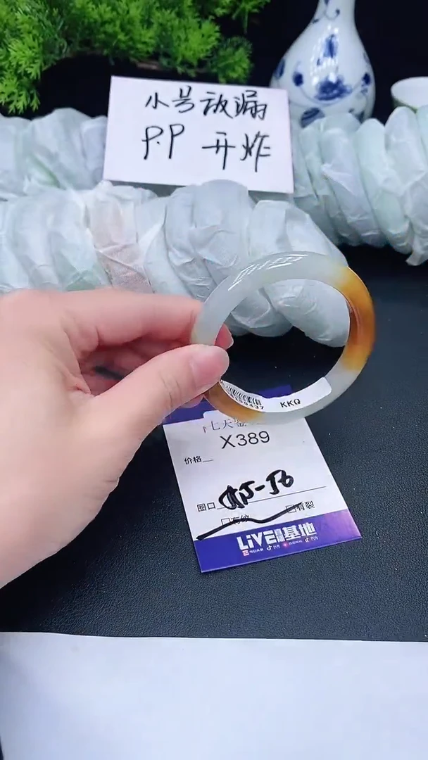 未镶嵌手镯翡翠389
