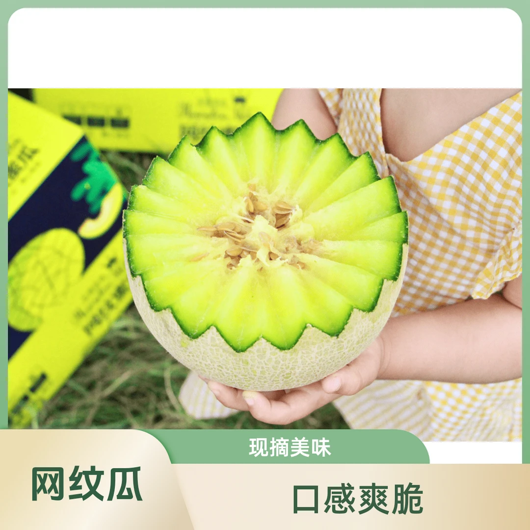 网纹瓜 约400克/份