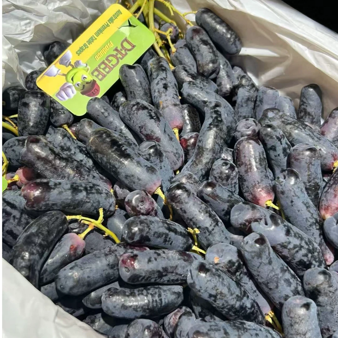 澳大利亚进口金手指黑提脆甜爆汁2/4斤装（顺丰包邮）